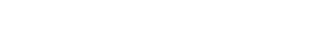 light logo